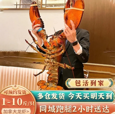 鲜活波士顿龙虾加拿大龙虾1-10斤特大波龙大澳龙海鲜奥龙